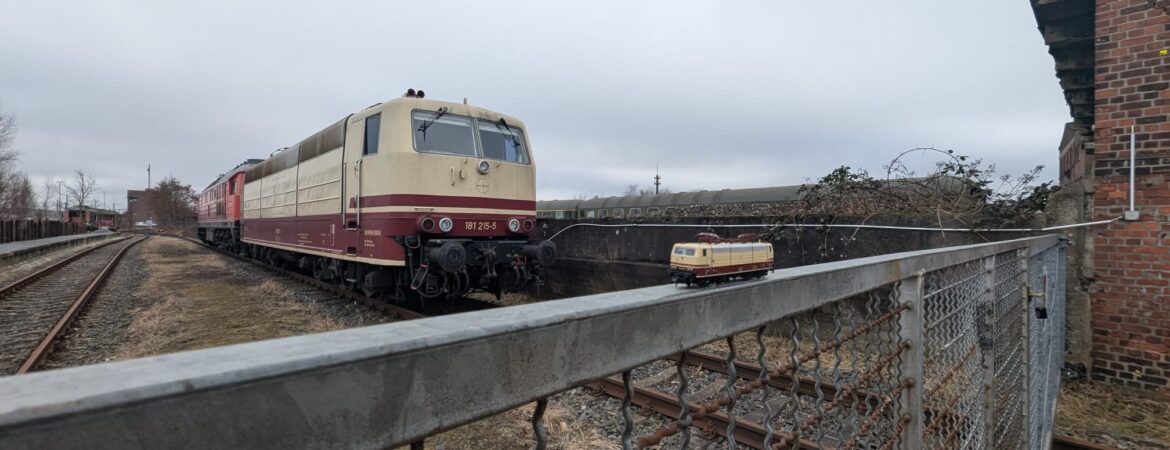 IMG-20250301-WA0010